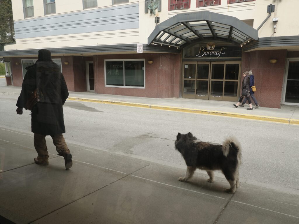 street scene with a man and husky in Juneau, AK